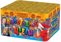 Новогодние цветы Фейерверк купить в Закаменске | zakamensk.salutsklad.ru