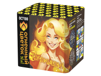 С огоньком! Фейерверк купить в Закаменске | zakamensk.salutsklad.ru