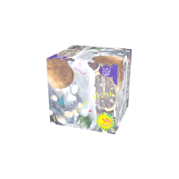 Новогодняя ночь Салют купить в Закаменске | zakamensk.salutsklad.ru