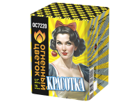 Красотка Батарея салютов купить в Закаменске | zakamensk.salutsklad.ru