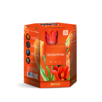 Тюльпаны Салют купить в Закаменске | zakamensk.salutsklad.ru