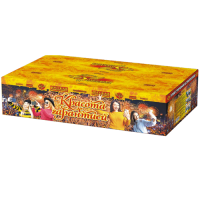 Красота с гарантией Фейерверк купить в Закаменске | zakamensk.salutsklad.ru