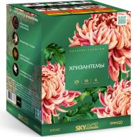 Хризантемы Фейерверк купить в Закаменске | zakamensk.salutsklad.ru