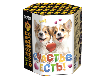 Счастье есть! Салют купить в Закаменске | zakamensk.salutsklad.ru